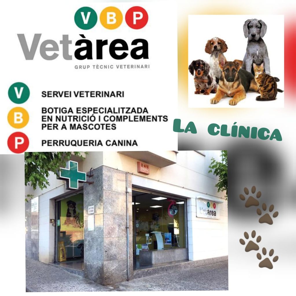 Vetàrea - Clínica veterinaria