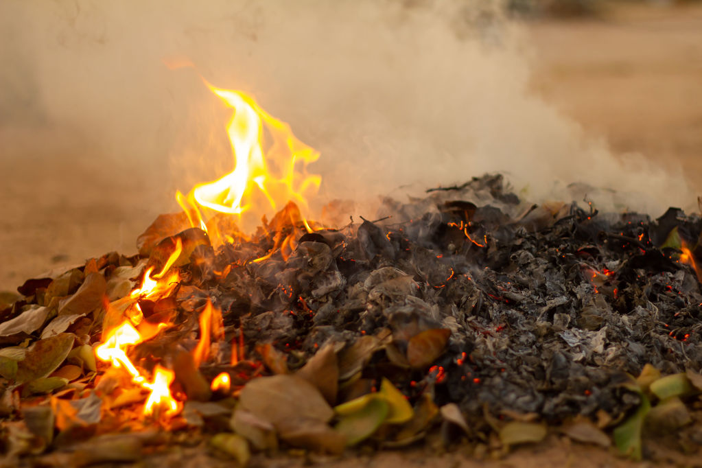 Informació sobre la prohibició de crema de restes vegetals  - 7558b-0df6a-bonfire-of-the-fallen-leaves-during-autumn.jpg